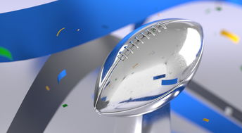 开云首页登录-青少年体育运动参与的心理动因及影响研究，关于青少年运动员心理发展的影响因素